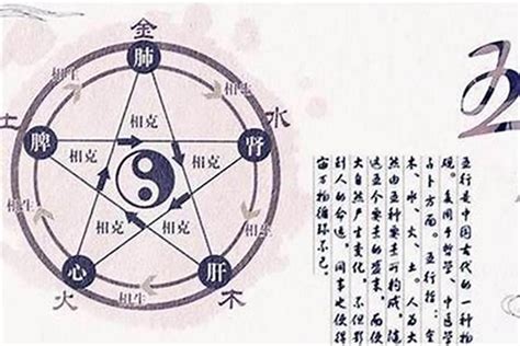 八字喜水木|喜用神为水木什么意思，八字喜水木适合工作